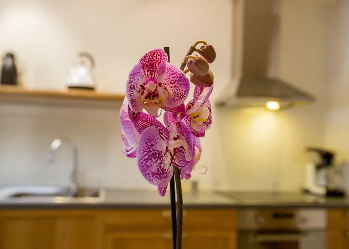 Bjorvika - Solvberggata 17 شقة فندقية 4*